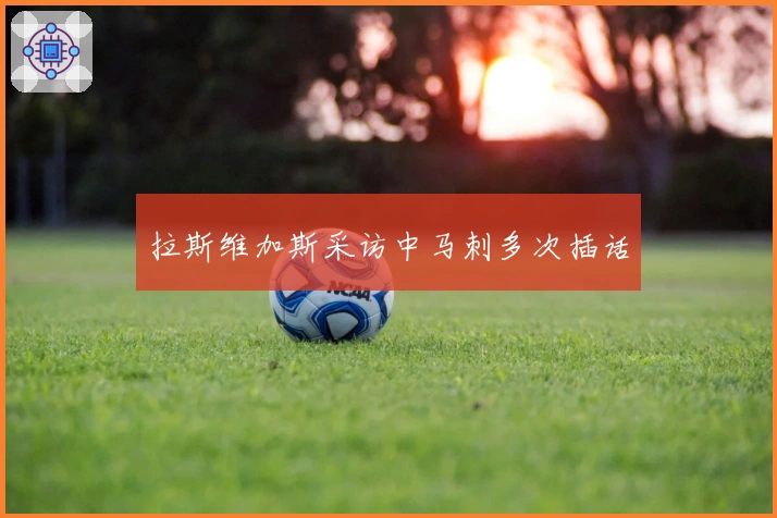 拉斯维加斯采访中马刺多次插话