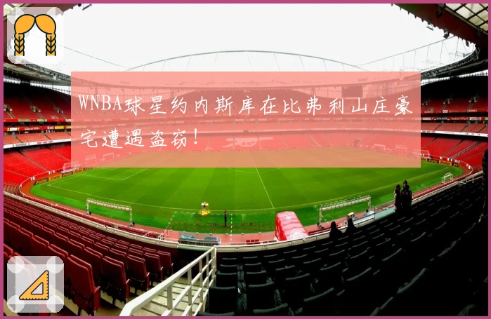 WNBA球星约内斯库在比弗利山庄豪宅遭遇盗窃！