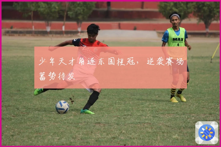 少年天才角逐东国桂冠，逆袭赛场蓄势待发