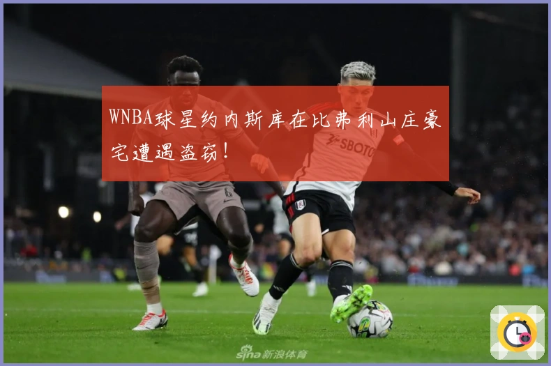 WNBA球星约内斯库在比弗利山庄豪宅遭遇盗窃！